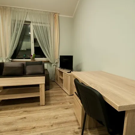 Wonderful Flat On Center Użhorod