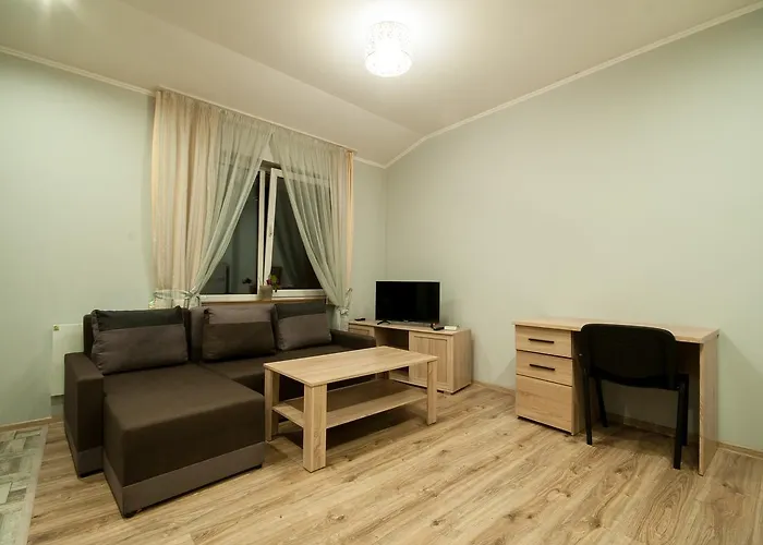 Wonderful Flat On Center Użhorod