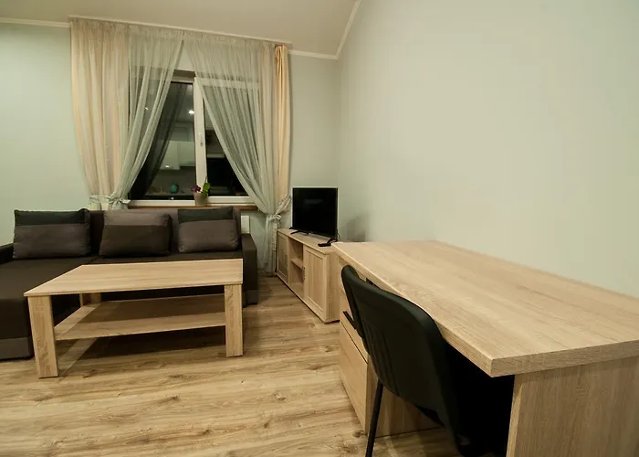 Wonderful Flat On Center Użhorod